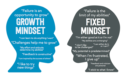 Why Having a Growth Mindset is Vital to Succeed as a Team?