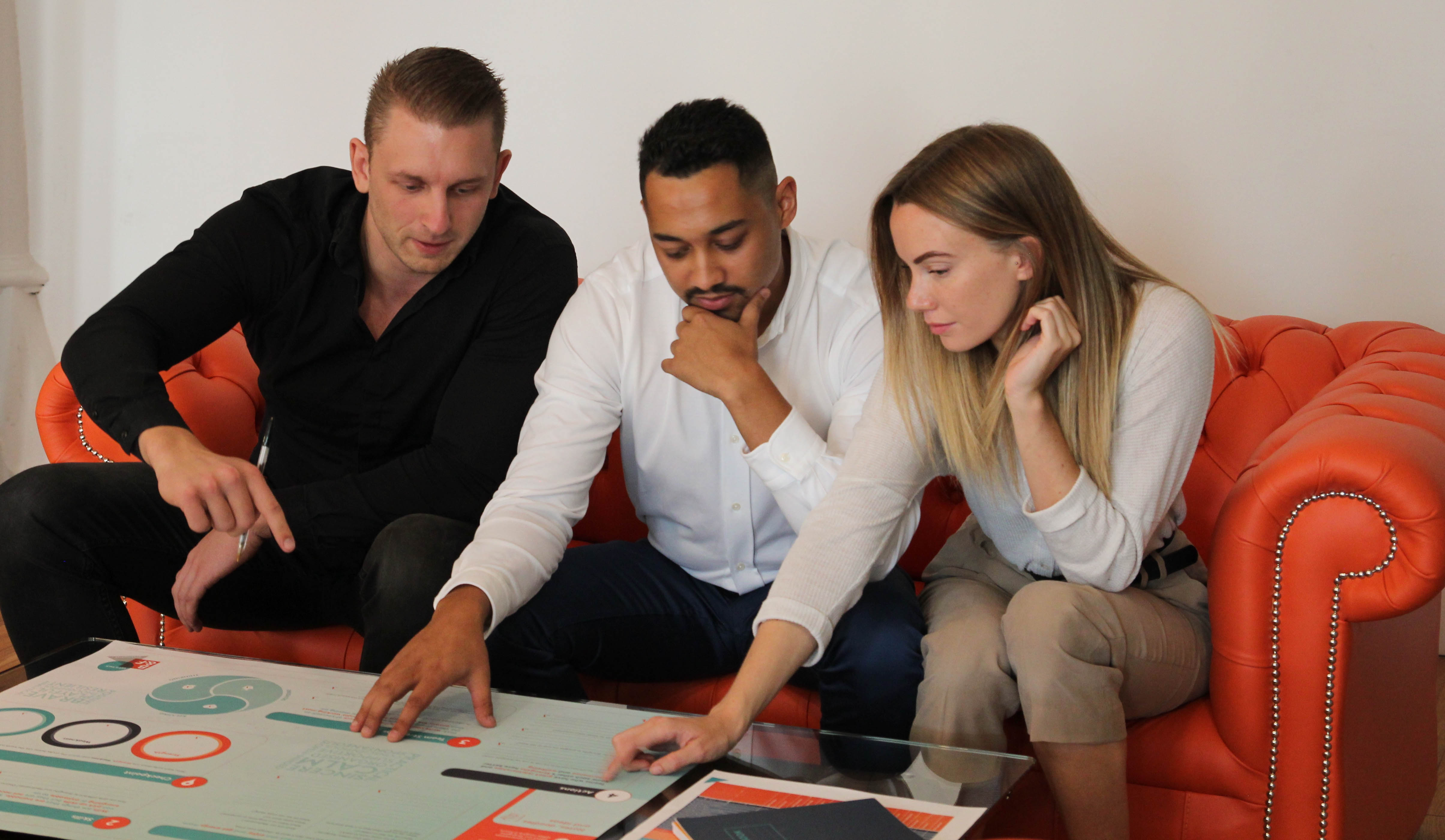 Learning from bees and starlings: Introducing Team Flow